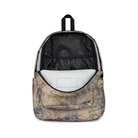 JANSPORT Superbreak Plus Backpack
